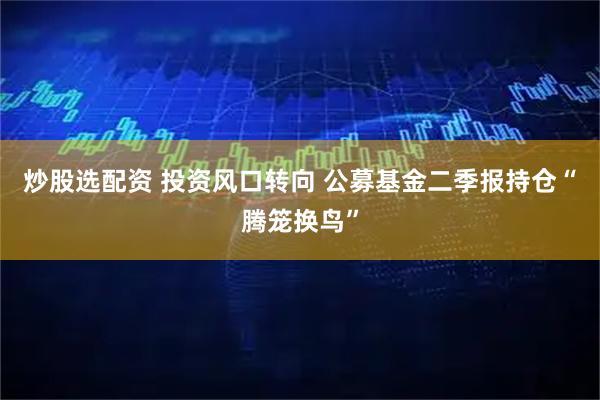 炒股选配资 投资风口转向 公募基金二季报持仓“腾笼换鸟”