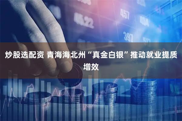 炒股选配资 青海海北州“真金白银”推动就业提质增效
